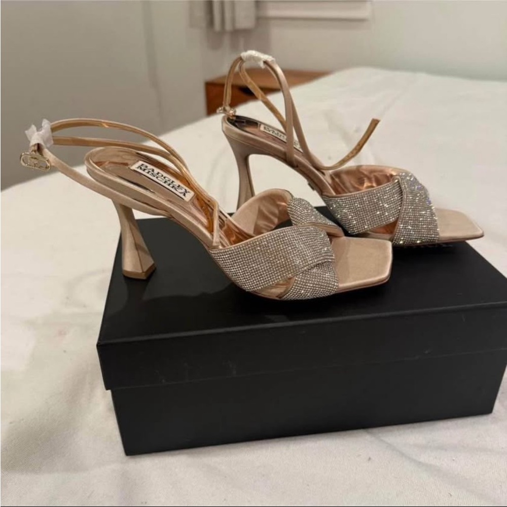 Badgley Mischka Glittering Silver and Gold Heels